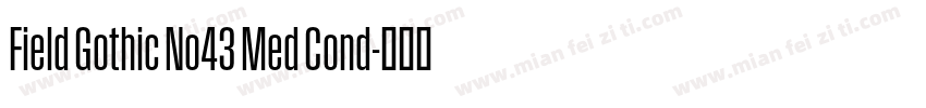 Field Gothic No43 Med Cond字体转换